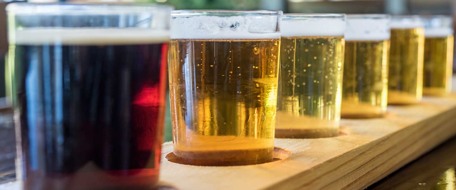 Private Tour of Craft Breweries and Beer Tasting in Niagara Region