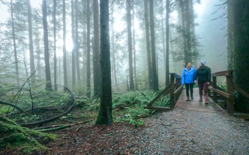 discover-vancouver-s-best-kept-secrets-with-a-private-and-personalized-walking-tour-800x500-1699178928.jpg