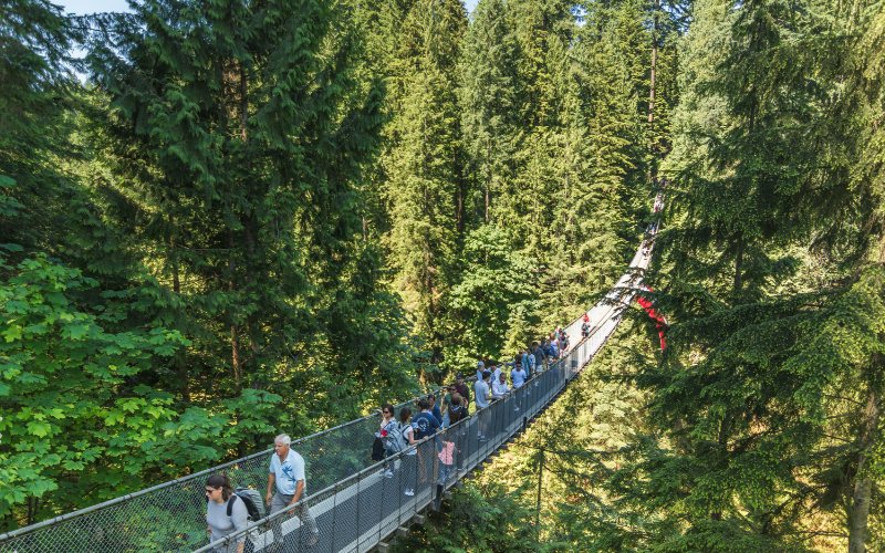 Capilano Bridge and Vancouver Lookout
