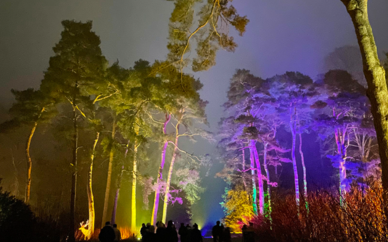 immerse-yourself-in-legends-of-whistler-vallea-lumina-night-walk-800x500-1699862123.jpg