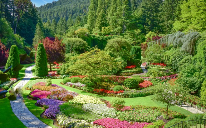 one-day-victoria-group-tour-package-with-exclusive-surfside-adventure-through-history-and-gardens-800x500-1700805187.jpg