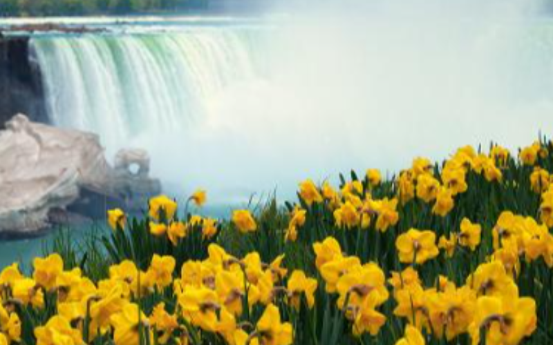 scarborough-to-niagara-falls-half-day-luxury-private-tour-800x500-1744148262.jpg