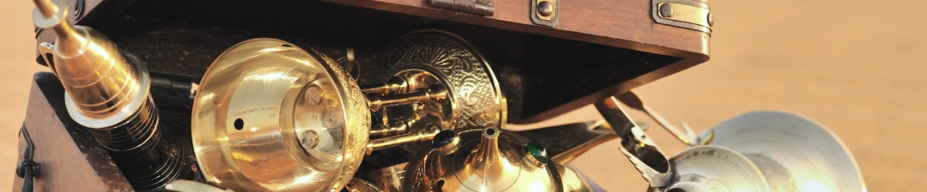 Fuzz Bug Gold Rush What Industry Experts Say About The Newly Discovered Treasure You Wont Believe It - 5s2wi4b